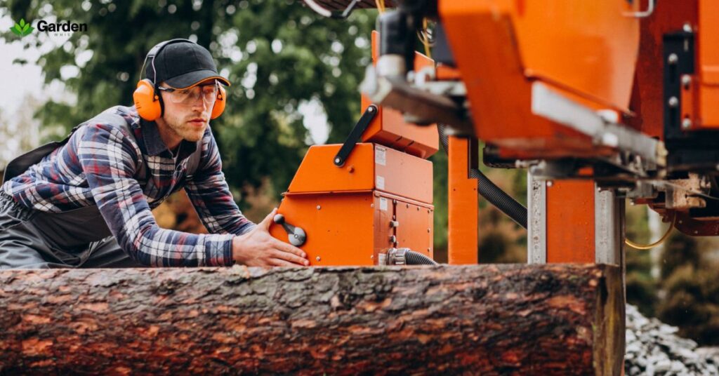 Cost of Tree Removal and Stump Grinding