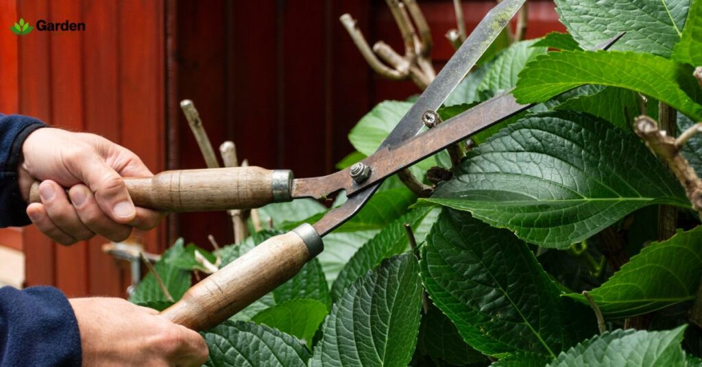 Tree Pruning Cost