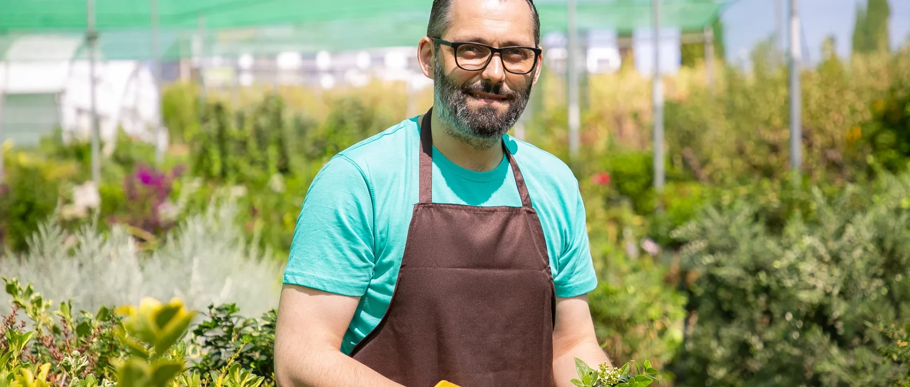 positive-male-florist-standing-rows-with-potted-plants-greenhouse-cutting-bush-holding-sprouts